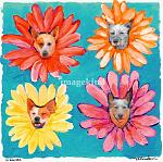    
: e732dce4-63a2-4899-9912-079f4bd16504.jpg
: 16
:	175.1 
ID:	2027608