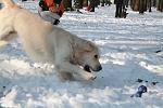     
: Изображение 013.jpg
: 34
:	284.5 
ID:	2029263
