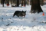     
: Изображение 053.jpg
: 26
:	92.4 
ID:	2029287