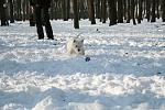     
: Изображение 010.jpg
: 32
:	88.5 
ID:	2029292