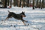    
: Изображение 056.jpg
: 29
:	102.7 
ID:	2029300