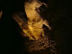     
: DSC00535.jpg
: 40
:	86.1 
ID:	2030822
