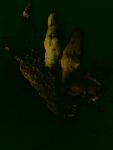     
: DSC00530.jpg
: 31
:	41.5 
ID:	2030823