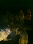     
: DSC00532.jpg
: 30
:	56.9 
ID:	2030824