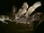     
: DSC00537.jpg
: 33
:	104.5 
ID:	2030826
