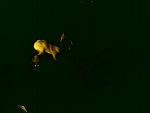     
: DSC00536.jpg
: 23
:	44.1 
ID:	2030827