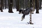     
: IMG_6588.jpg
: 25
:	69.7 
ID:	2030871