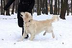     
: IMG_6603.jpg
: 26
:	128.7 
ID:	2030874