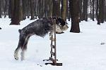     
: IMG_6587.jpg
: 22
:	63.4 
ID:	2030881