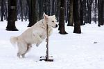     
: IMG_6596.jpg
: 24
:	81.5 
ID:	2030885