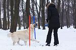     
: IMG_6602.jpg
: 22
:	135.6 
ID:	2030886