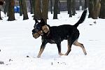     
: IMG_6605.jpg
: 24
:	83.2 
ID:	2030887