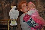     
: DSC_1226.jpg
: 55
:	122.4 
ID:	2030984