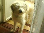     
: DSC00277.JPG
: 65
:	52.8 
ID:	2031268
