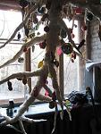     
: img_75619674_6635_0.jpg
: 27
:	62.8 
ID:	2034069