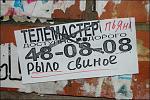     
: 1292792639_telemaster-01.jpg
: 43
:	69.6 
ID:	2034310