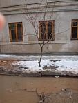     
: PC201810.JPG
: 76
:	34.1 
ID:	2035195