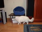    
: DSC01287.jpg
: 22
:	102.5 
ID:	2036711