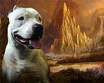     
: e3b2864bd4ea.jpg
: 9
:	69.8 
ID:	2037608