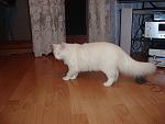     
: DSC00966.jpg
: 37
:	111.6 
ID:	2039595