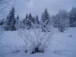     
: ph03-2.jpg
: 110
:	90.5 
ID:	2040983