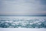     
: ph19-1.jpg
: 121
:	114.6 
ID:	2041089