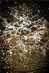     
: ph19-2.jpg
: 166
:	137.6 
ID:	2041092