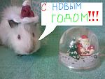     
: ph25-1.jpg
: 59
:	124.8 
ID:	2041110