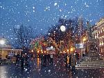     
: ph23-1.jpg
: 175
:	91.5 
ID:	2041111