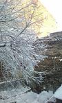     
: ph27-1.jpg
: 63
:	207.1 
ID:	2041126