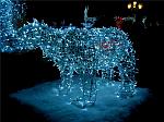     
: ph26-3.jpg
: 81
:	98.2 
ID:	2041129