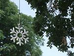     
: ph37-1.jpg
: 44
:	184.9 
ID:	2041167