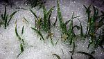     
: ph47-2.jpg
: 101
:	165.4 
ID:	2041852