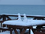     
: ph45-3.jpg
: 101
:	104.3 
ID:	2041854
