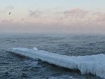     
: ph45-1.jpg
: 74
:	97.6 
ID:	2041855