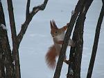     
: ph45-2.jpg
: 106
:	104.5 
ID:	2041857
