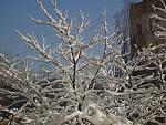     
: ph48-2.jpg
: 49
:	196.5 
ID:	2041888