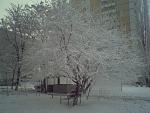     
: ph51-2.jpg
: 37
:	152.3 
ID:	2041967
