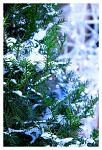     
: ph57-3.jpg
: 67
:	156.1 
ID:	2042053
