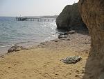     
: IMG_2412.jpg
: 53
:	175.4 
ID:	2043464