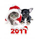     
: gc12-2.jpg
: 86
:	50.9 
ID:	2043566