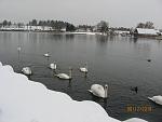     
: gc28-1.jpg
: 47
:	123.9 
ID:	2043601
