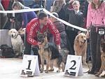     
: e610862f4378.jpg
: 44
:	69.6 
ID:	2051523