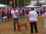     
: 100619_112440.jpg
: 52
:	80.8 
ID:	2051554
