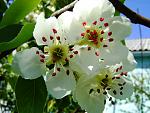     
: DSC02538.jpg
: 13
:	113.3 
ID:	2052558