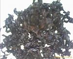     
: IMAGE_00004.jpg
: 12
:	192.3 
ID:	2053006