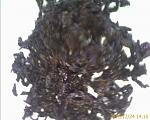     
: IMAGE_00005.jpg
: 14
:	167.4 
ID:	2053007