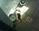     
: DSC00082.JPG
: 20
:	169.3 
ID:	2057853