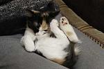     
: _MG_6268_.jpg
: 34
:	16.9 
ID:	2060513