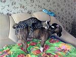     
: 3c2f2aedd892.jpg
: 50
:	76.3 
ID:	2061939